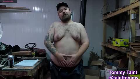 tommytries1 stream preview