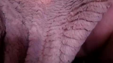 tonguetoybill stream preview