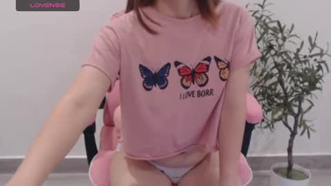 totoro_09 stream preview