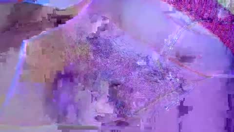 toysalmonn live stream