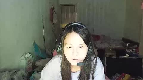 transveil stream preview