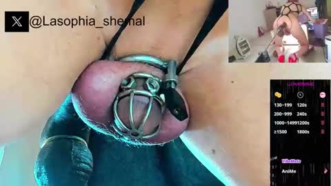 trasteverina stream preview