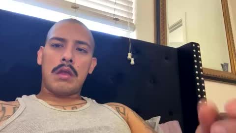 tripod4209 live stream