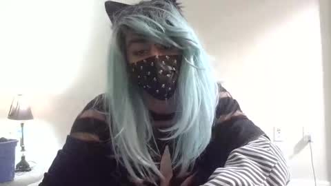 twinkyteddy stream preview