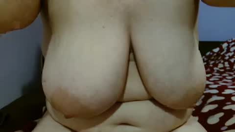 urcock4me stream preview