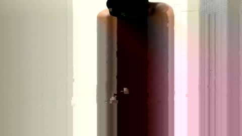 vabe007 stream preview