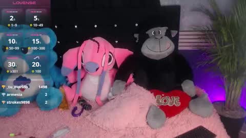 venus_26_ live stream
