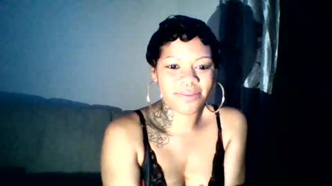 vexyrae live stream