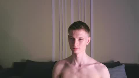 viksons stream preview