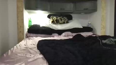 violettblakee live stream