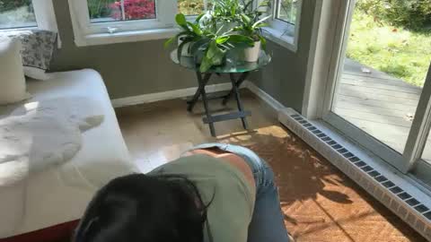 viviannexxx2022 live stream