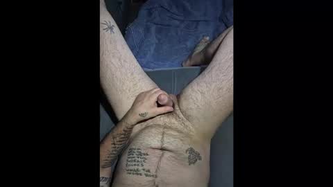 wilmer_cockfit stream preview