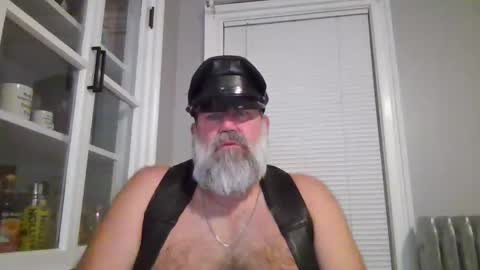 woobear73 stream preview