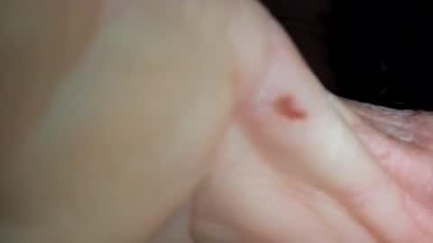 woodc71 stream preview