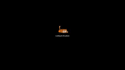 zielloos live stream